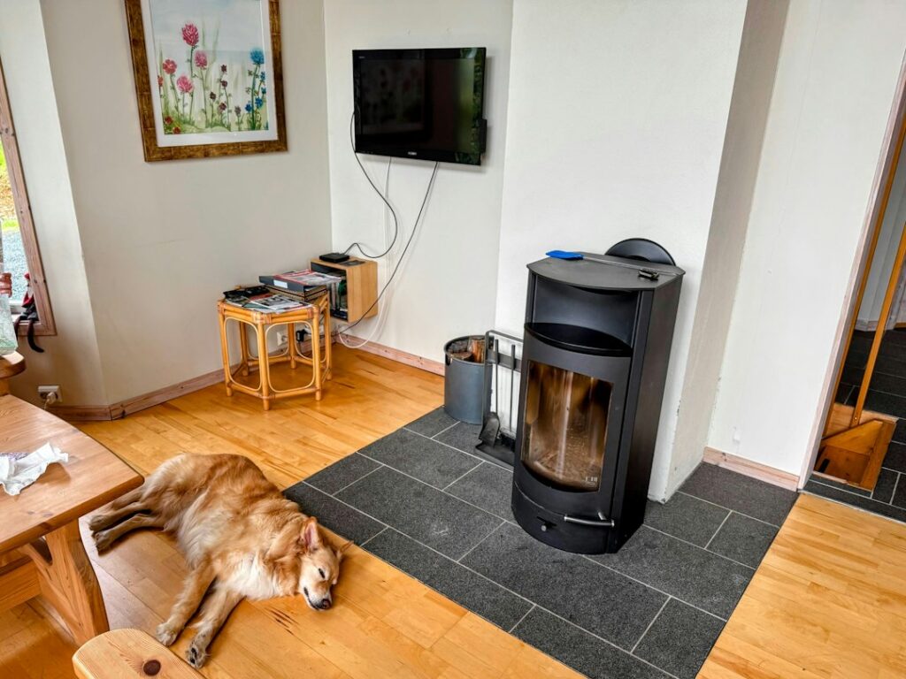 Elektrokamin im Sommer: Atmosphäre auch ohne Heizung genießen